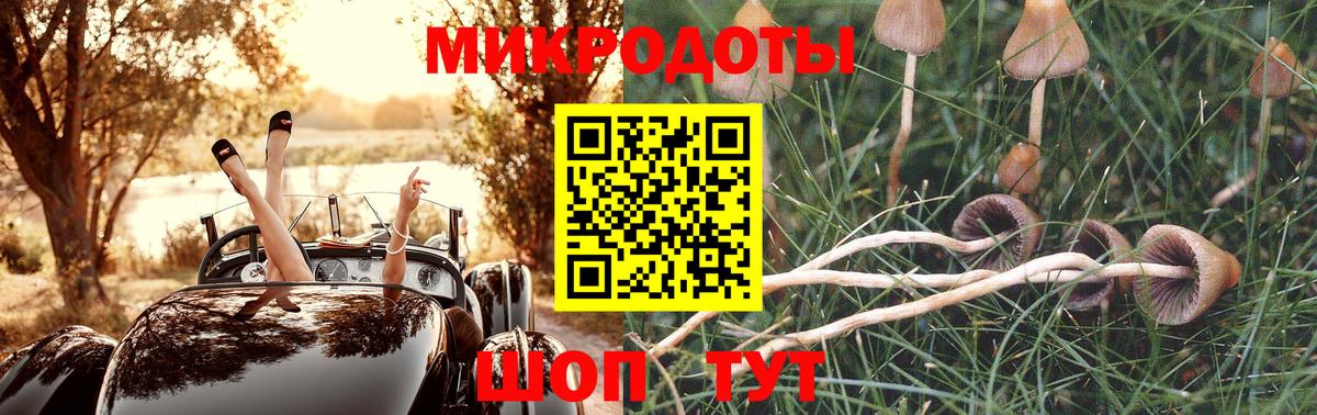 Псилоцибиновые грибы прущие грибы  Псилоцибиновые грибы мухоморы  Красный Сулин  Вход с VPN 